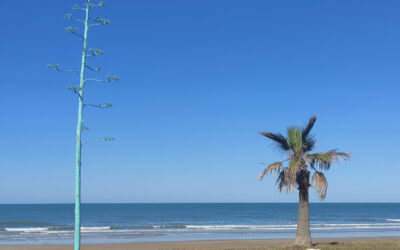 PLAYA DE LAS TRES PIEDRAS, CHIPIONA