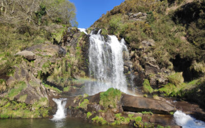 FERVENZA DO RÍO XESTOSA